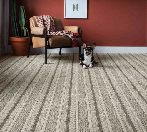 thảm nỉ trải sàn