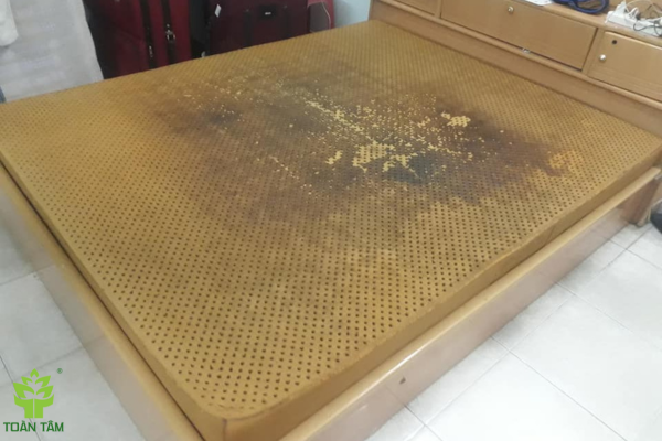 chất lượng nệm xuống cấp gây ra ngứa