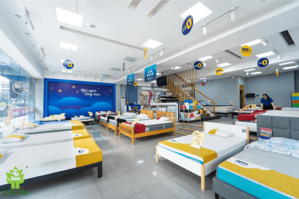 lựa chọn cơ sở uy tín để mua nệm