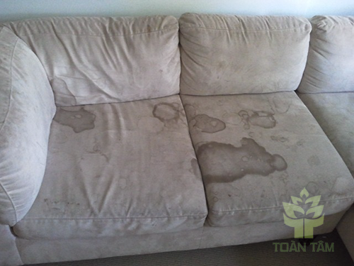 Có nên tự giặt ghế sofa tại nhà?