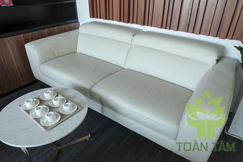 Ghế sofa bị hôi là nỗi lo của nhiều người